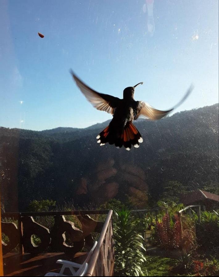 Lodge Pacuare Mountain Tres Equis